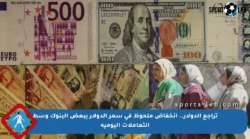 تراجع الدولار.. انخفاض ملحوظ في سعر الدولار ببعض البنوك وسط التعاملات اليومية